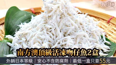 南方澳頂級活凍吻仔魚