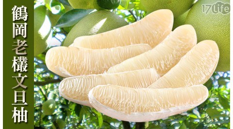 鶴岡35年老欉文旦柚 鶴岡35年老欉文旦柚