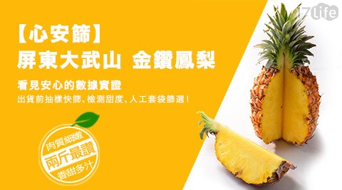 心安篩-金鑽鳳梨
