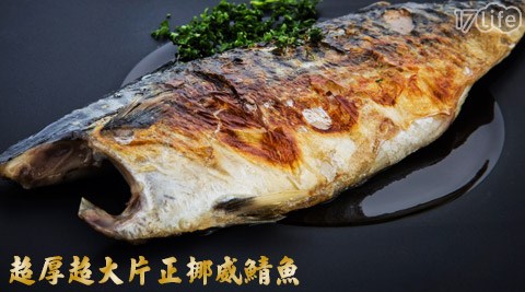 超厚超大片正挪威鯖魚