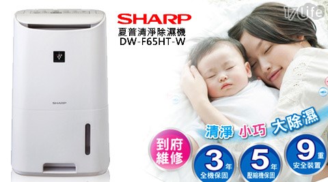 SHARP夏普-6.5L一級節能清淨除濕機(DW-F65HT-W)  