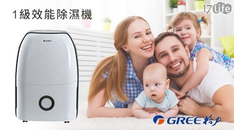 GREE 格力-1級效能台新信用卡17life除濕機1台