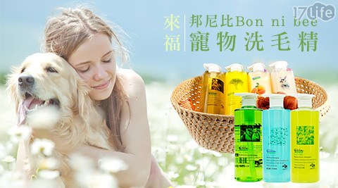 來福-邦尼比 Bon ni bee寵物洗毛精