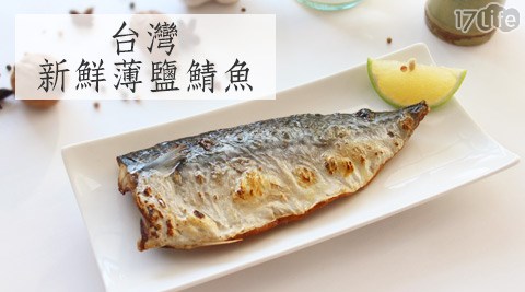 巨大台灣新鮮薄鹽鯖魚