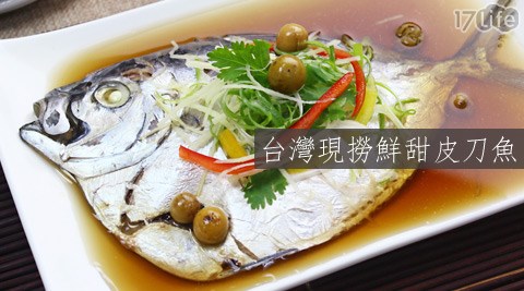 台灣現撈鮮甜皮刀魚