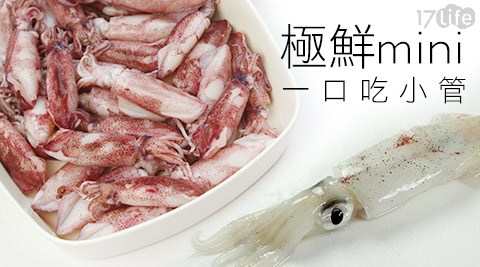 極鮮mini一口吃小管