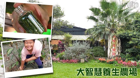 大智慧養生農場-平/假日開心農場玩樂專案 大智慧養生農場-平/假日開心農場玩樂專案