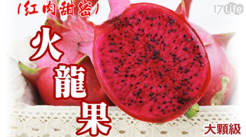 產地鮮採直送-頂級甜美紅肉火龍果5斤裝