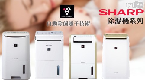 夏普SHARP-自動除菌離子溫濕感應除濕機系列1台
