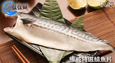 佐佐鮮水產-挪威特選鯖魚片