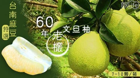 台南麻豆特選60年正老欉文旦(7-10顆/箱)(預購)