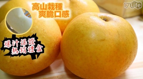 苗栗甜蜜爆汁特大黃金新興梨8粒(淨重約3700g)