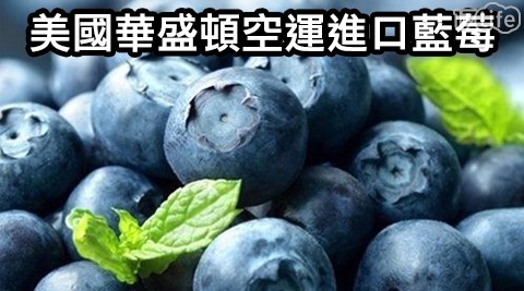 美國華盛頓空運進口藍莓 美國華盛頓空運進口藍莓