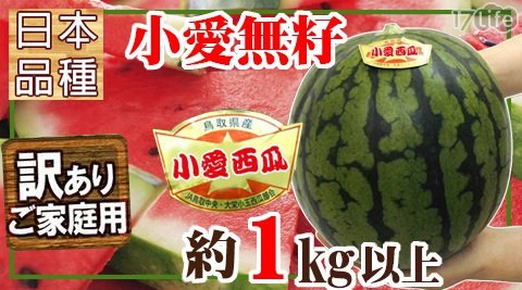日本品種溫室吊網小愛少籽紅肉西瓜(1.5台斤/顆) 日本品種溫室吊網小愛少籽紅肉西瓜(1.5台斤/顆)