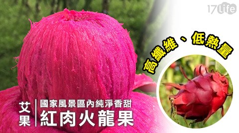 艾果-國家風景區內純淨香甜紅肉火龍果 艾果-國家風景區內純淨香甜紅肉火龍果