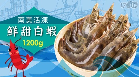 【熊青】南美活凍鮮超大盒甜白蝦(1200g)