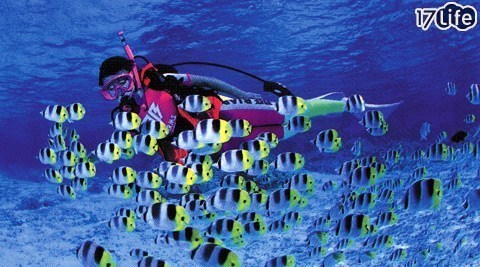 綠島體驗浮潛、海底溫泉、夜訪梅花鹿和竹節蟲等自然生態景觀<a href="http://av.coolfun.us">,</a>吃住玩樂一次搞定<a href="http://coolfun.h978.com">,</a>打造峇里島風情,輕鬆暢遊綠島