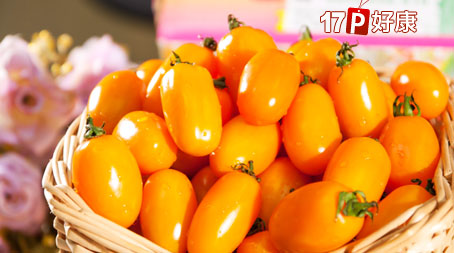 璞臻觀光自然農場-小番茄5斤