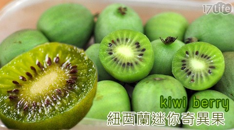 紐西蘭迷你奇異果kiwi berry