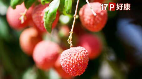 欣荣果园-玉荷包荔枝组-白玉透亮、圆润诱人,快来品尝荔枝界的明星商品!粒粒多汁饱满的大树玉荷包,是夏天水果的营养圣品