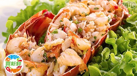 [24H到货]买新鲜-美国波士顿龙虾-来自北海的海