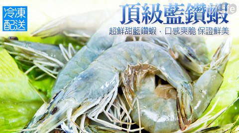 買新鮮-生凍頂級藍鑽蝦