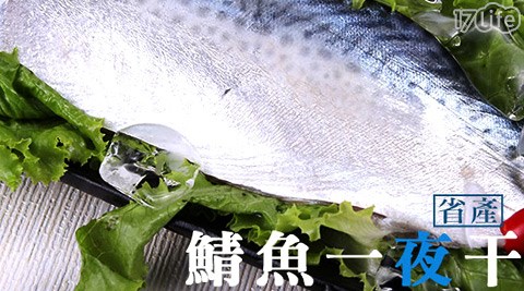 買新台中 市 大閘蟹 餐廳鮮-省產鯖魚一夜干