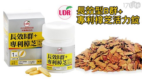 UDR-長效型B群+專利樟芝活力錠