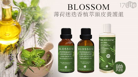 BLOSSOM-薄荷迷迭香植萃頭皮養護組