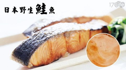 賣魚的家-日本野生鮭魚