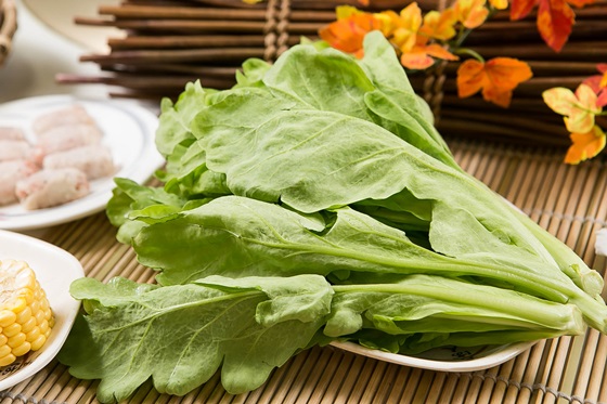 茼莴   口感较为厚实的茼蒿,煮再久也不易软烂,还会释放出淡雅蔬菜