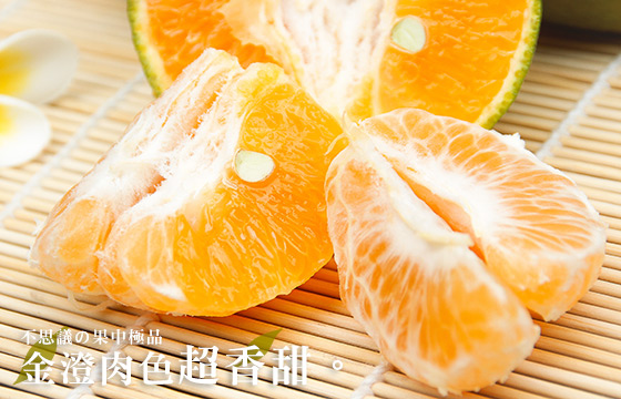 蜜橘/台南/東山/青皮蜜柑/蜜柑/橘子