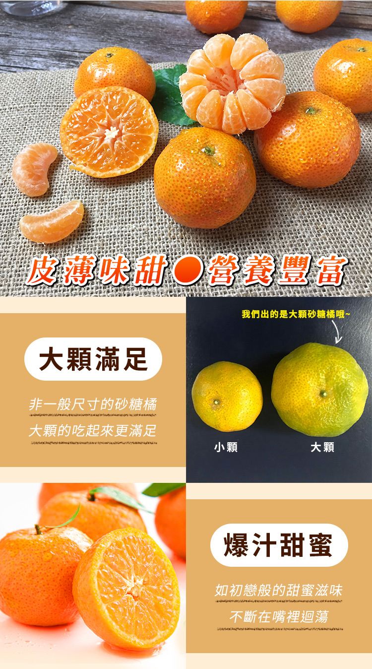 橘子/砂糖橘/水果