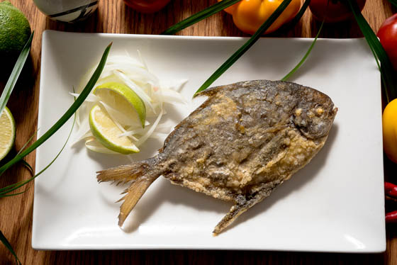 东北角肉鲳鱼,宅配,冷冻/生鲜蔬果,快速出货,生猛海鲜,17life,团购