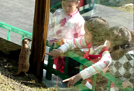 六福村主題遊樂園/六福村/動物園/遊樂園/大怒神/親子/新竹貢丸