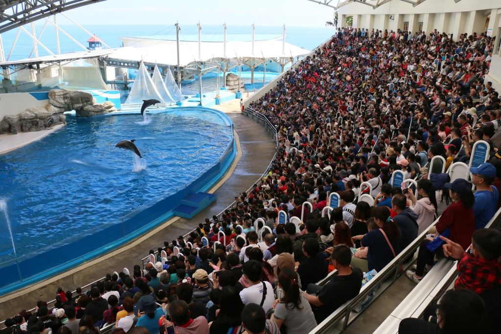 遠雄海洋公園/花蓮/海洋公園/遠雄/親子/壽豐/海豚/親子旅遊/披薩/遠雄/遊樂園