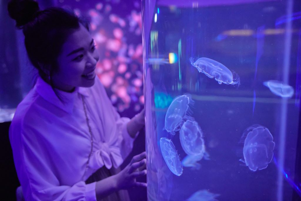 遠雄海洋公園/花蓮/海洋公園/遠雄/親子/壽豐/海豚/親子旅遊/披薩/遠雄/遊樂園