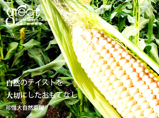 鮮綠農產/18度高甜度白美人水果玉米/水果玉米/甜玉米/玉米