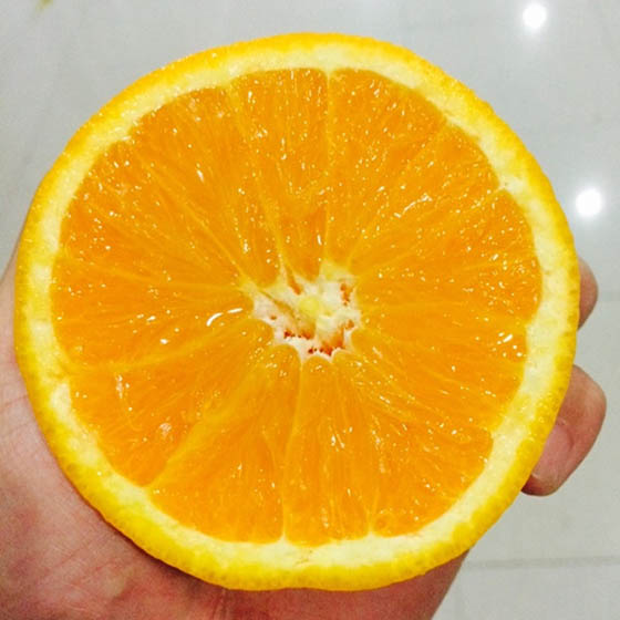 产地直送香吉士新鲜甜脐橙,宅配,快速出货,冷冻/生鲜蔬果,蔬菜水果