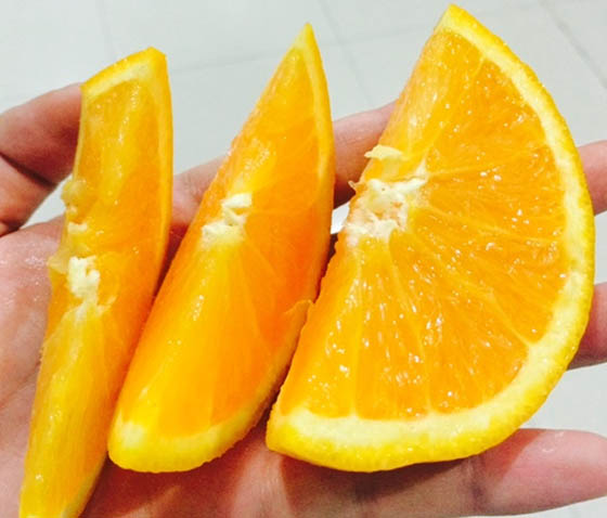 产地直送香吉士新鲜甜脐橙,宅配,快速出货,冷冻/生鲜蔬果,蔬菜水果
