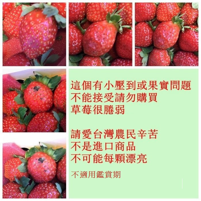 水果/台灣/頂級/在地/草莓/大湖/香水/冬季/限定/下午茶/點心/苗栗