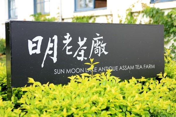 日月老茶廠