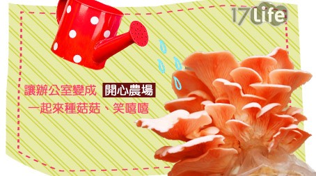 菇菇家-現代版開心農場菇菇