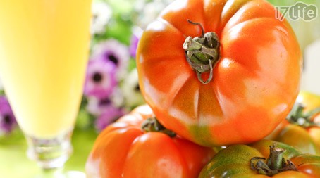 炭道健康農場-有機轉型期番茄