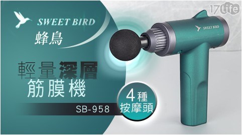 蜂鳥輕量深層筋膜機sb 958 17life生活電商