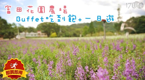 富田花園農場-buffet吃到飽+一日遊專案