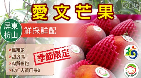 【MANGO HOUSE】屏東枋山愛文芒果 外銷日本等級蘋果檨5斤(9~11顆) /盒 