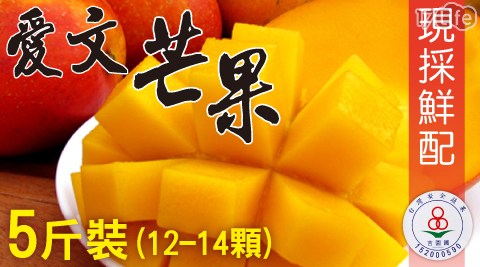 【家購網嚴選】屏東枋山愛文芒果5斤(12~14顆) /盒 鮮採直送