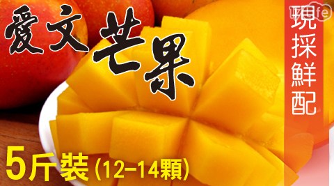 【家購網嚴選】屏東枋山愛文芒果5斤(12~14顆) /盒 鮮採直送
