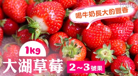 【家購網嚴選】大湖豐香草莓手提禮盒 1kg（約55-65顆）/盒 共